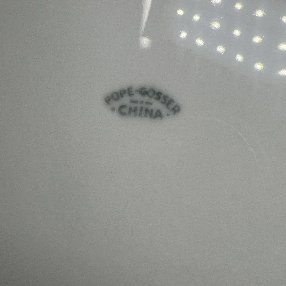 1 Vintage Pope-Gosser China Dinner Plate 10